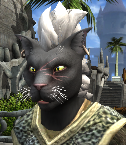 Screenshot of my character from the game Dungeons and Dragons online